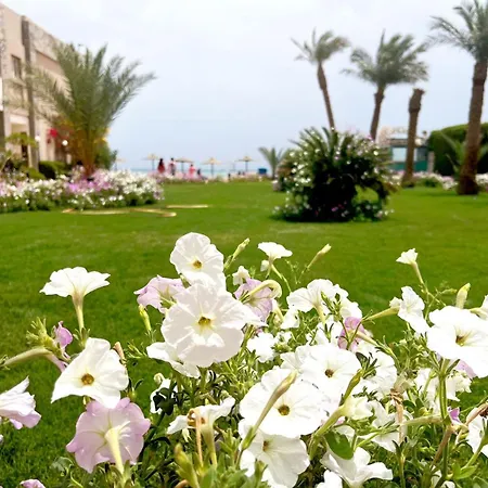 Cecelia Boutique Hurghada